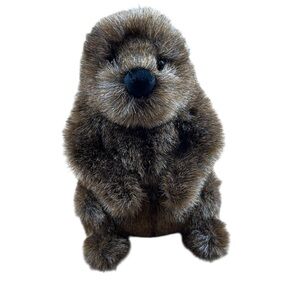 Douglas Cuddle Toy Groundhog Stuffed Plush 12” Chuckwood Caddyshack NWT